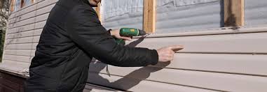 Best Custom Trim and Detailing for Siding  in Pocahontas, IA